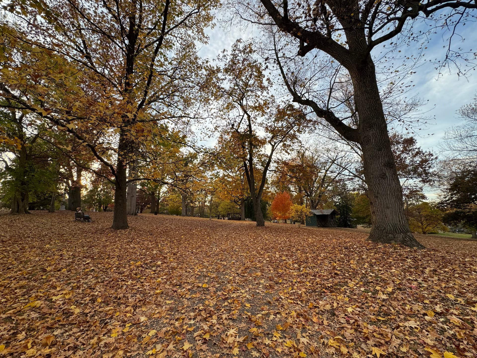 Marshall Square Park in West Chester, Pennsylvania in autumn